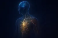Biofotoni: Svjetlost koju isijavaju sva živa bića
