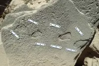 Paleoantropolozi su pronašli otiske cipela stare 100.000 godina u Africi