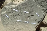 Paleoantropolozi su pronašli otiske cipela stare 100.000 godina u Africi