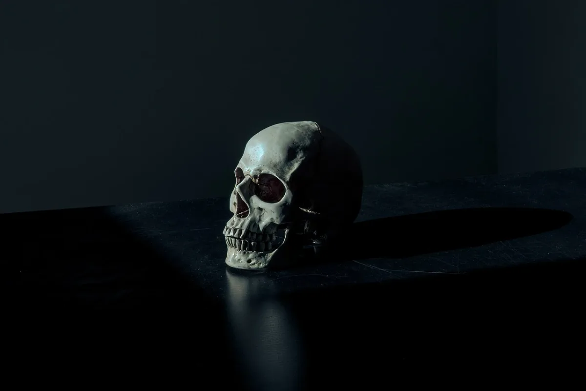 Misteriozni hominidi Evrope: "Lobanja 5" iz Dmanisija