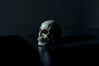 Misteriozni hominidi Evrope: "Lobanja 5" iz Dmanisija