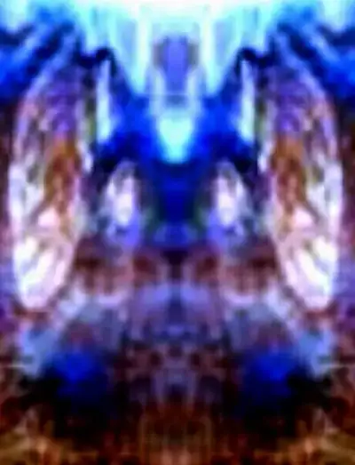 2 multidimenzionalno bice