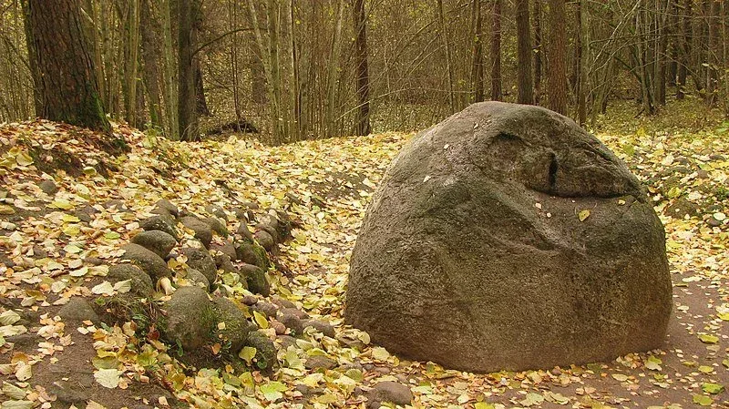 Suma pokaini kamenje
