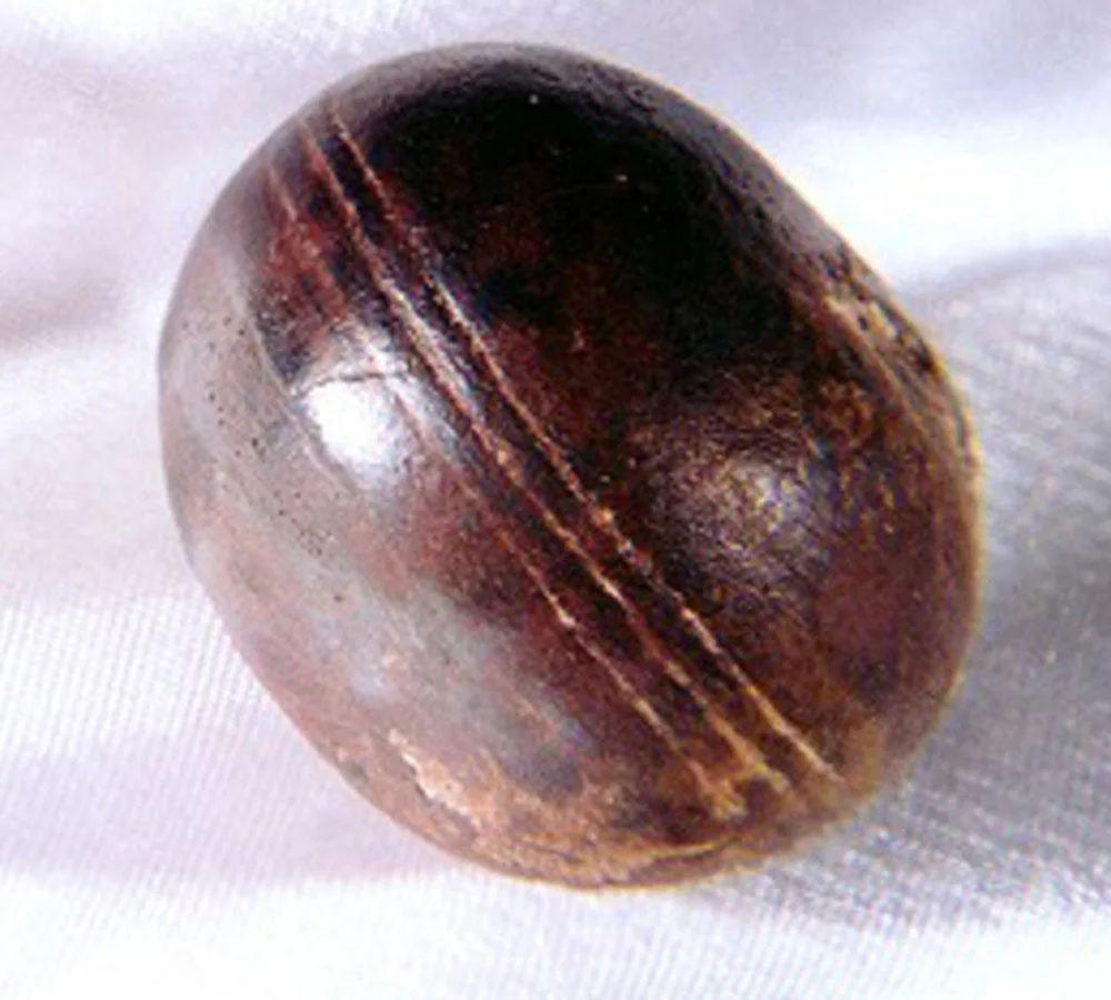 Drevna sfera