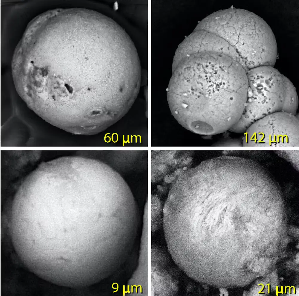 Sferule