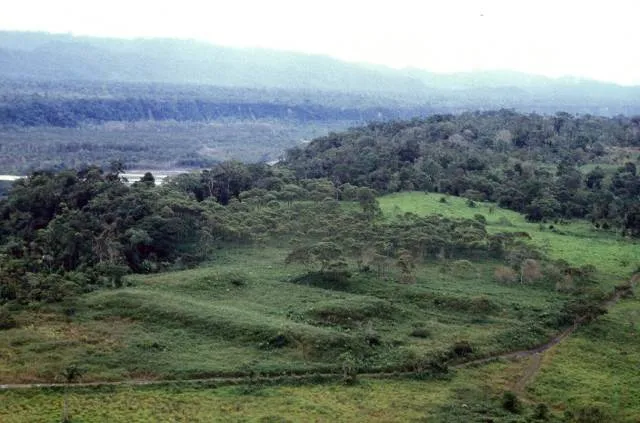 Amazonska prasuma gradovi