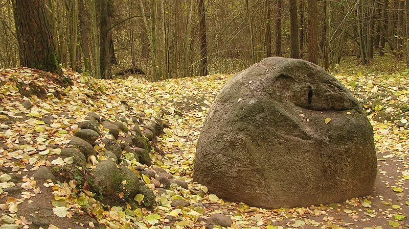 Suma Pokaini kamenje