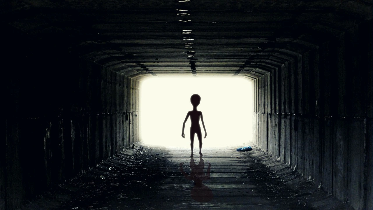 Aliens might be living among us disguised as humans according to new  Harvard study